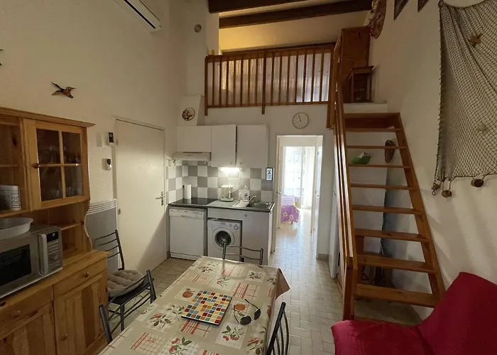 Climatisee 3 Faces, 5-6 Pers, Garage, Proche Plage, Saint-cyprien - Fr-1-106-28 *