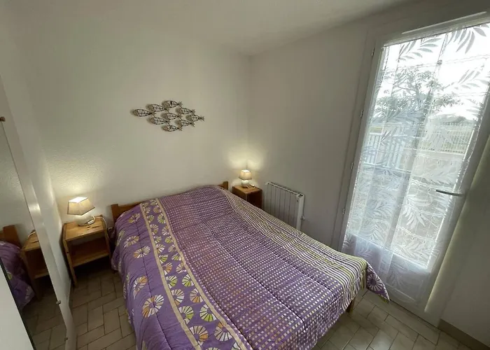 Climatisee 3 Faces, 5-6 Pers, Garage, Proche Plage, Saint-cyprien - Fr-1-106-28